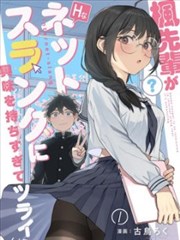 3d漫画《三角形房间》封面